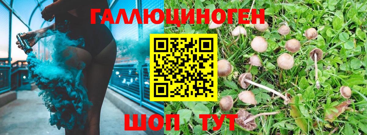 Галлюциногенные грибы мицелий Сухой Лог