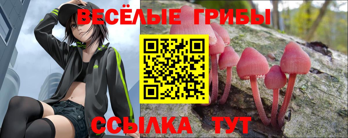 Галлюциногенные грибы Magic Shrooms  Псилоцибиновые грибы прущие грибы  Сухой Лог  Вход с VPN 